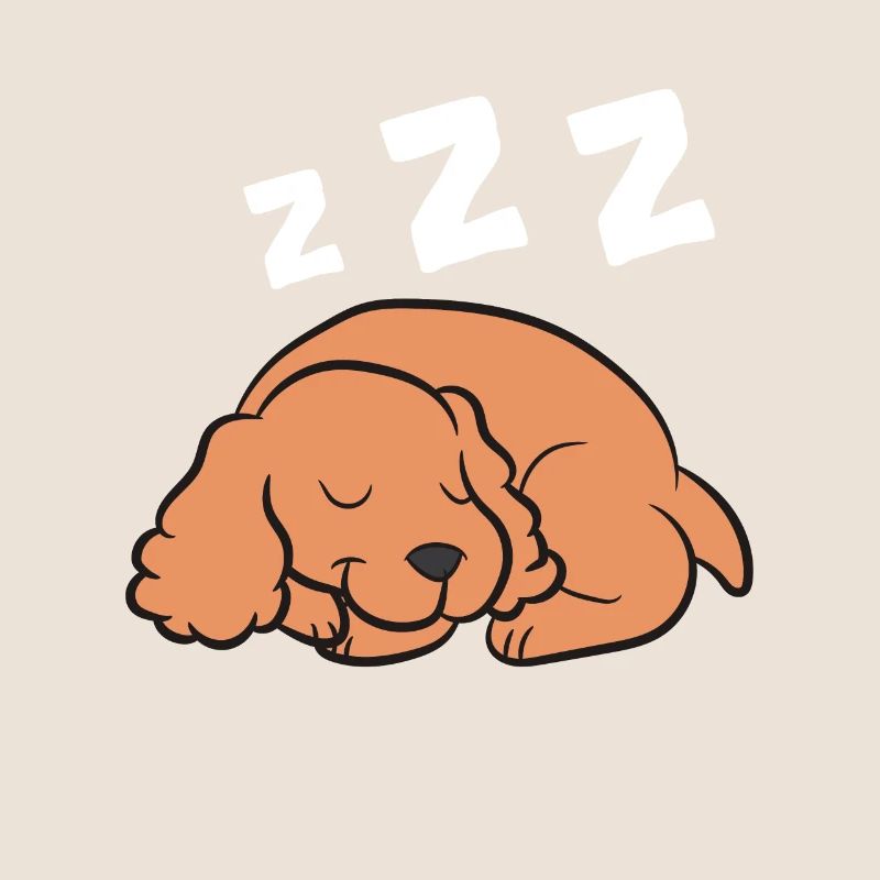 Cocker Spaniel Chien Dormant Pyjama Cocker