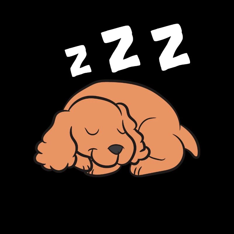 Cocker Spaniel Hund Schlafen Pyjama Cocker