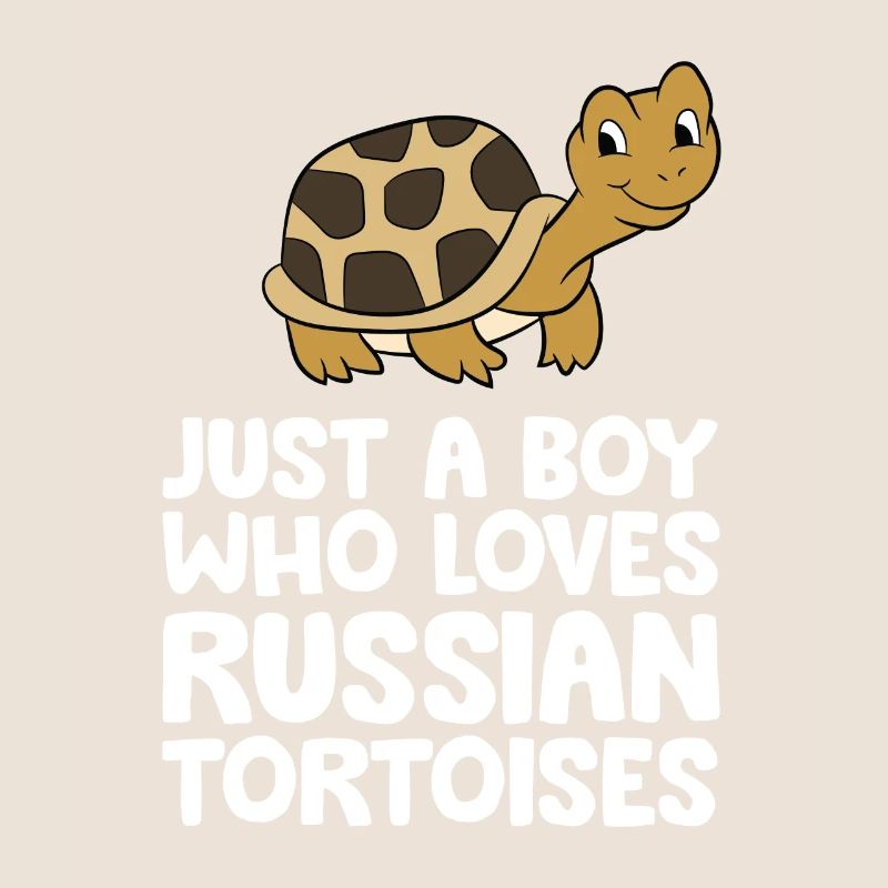 Nur ein Junge, der russische Landschildkröten