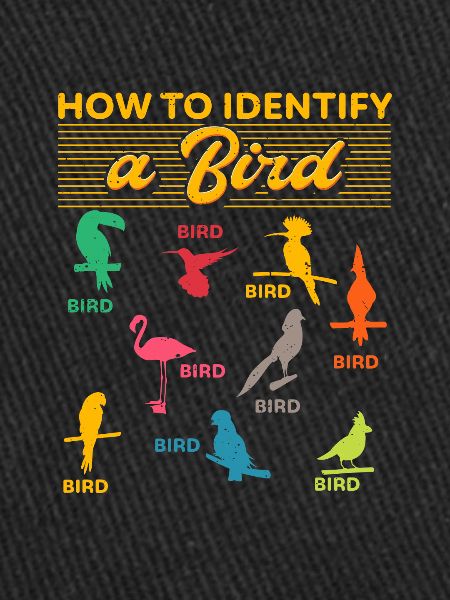Comment identifier un oiseau d’observation
