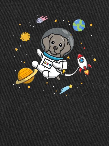 Weimaraner