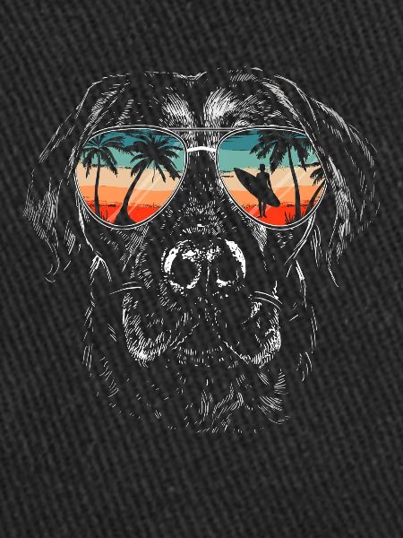 Labrador dog