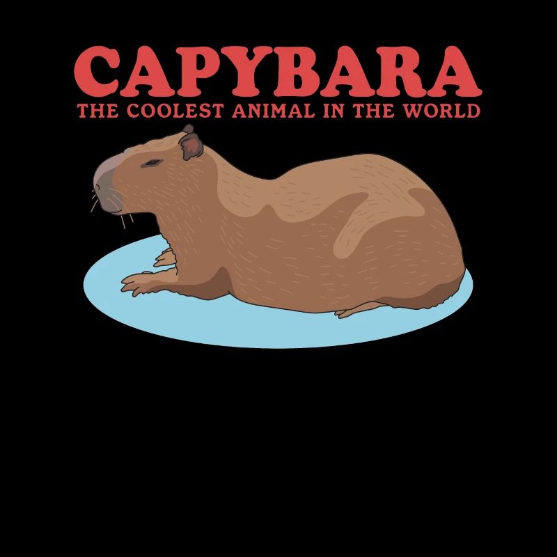 Capybara Capybaras Capybaras Capybara Cadeau