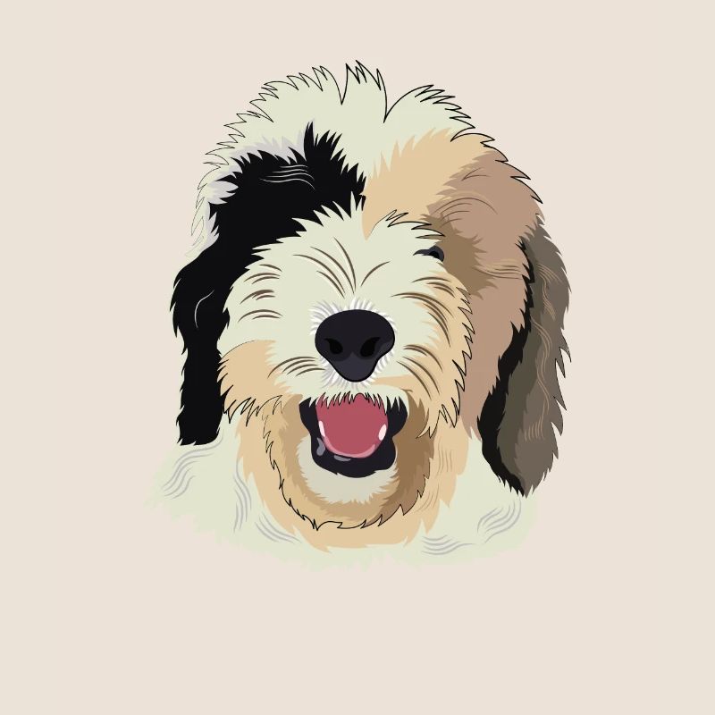 Cadeau de chien Sheepadoodle