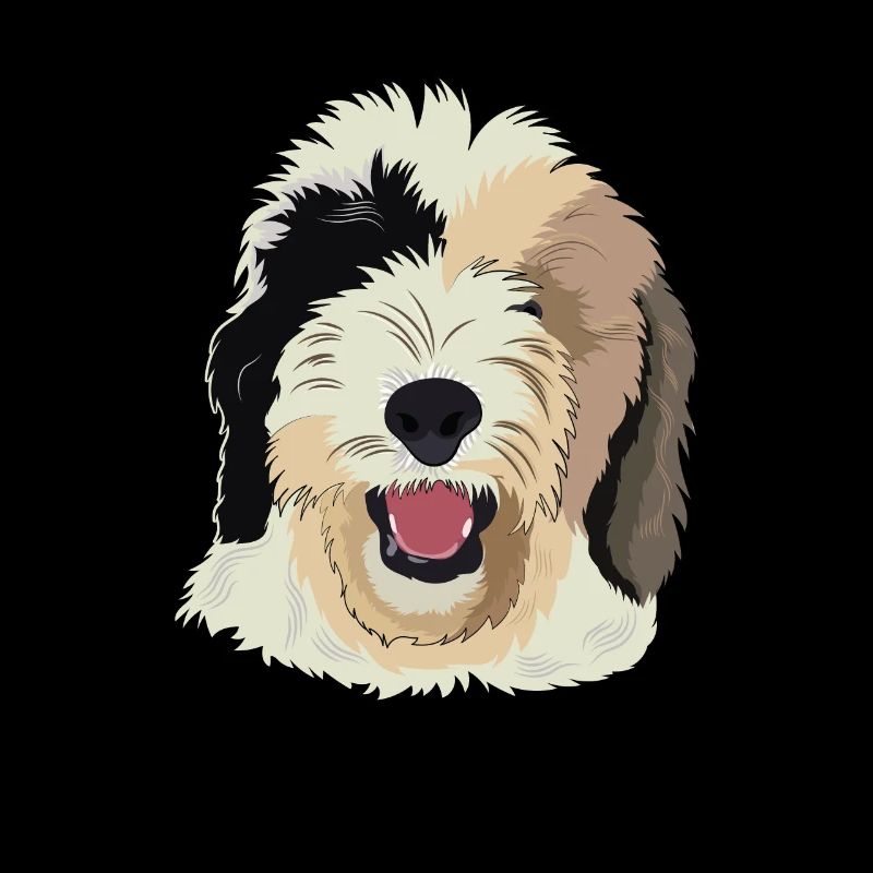 Cadeau de chien Sheepadoodle