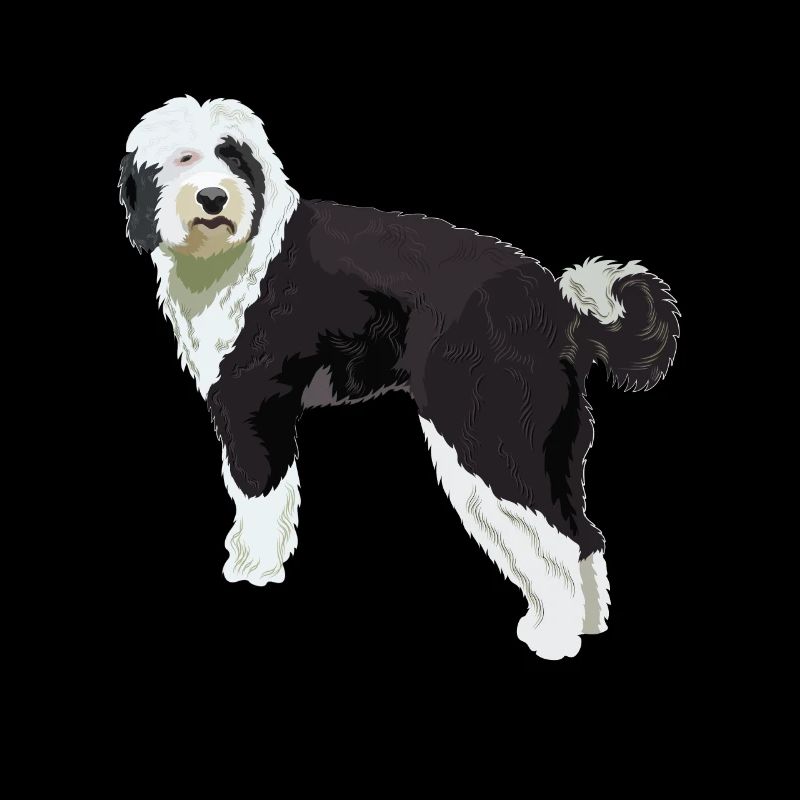 Cadeau de chien Sheepadoodle