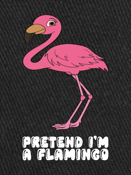 Funny flamingo graphics
