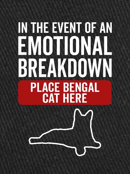 Émotionnel - Chat du Bengale