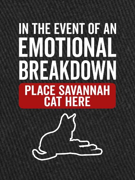 Émotionnel - Savannah Cat