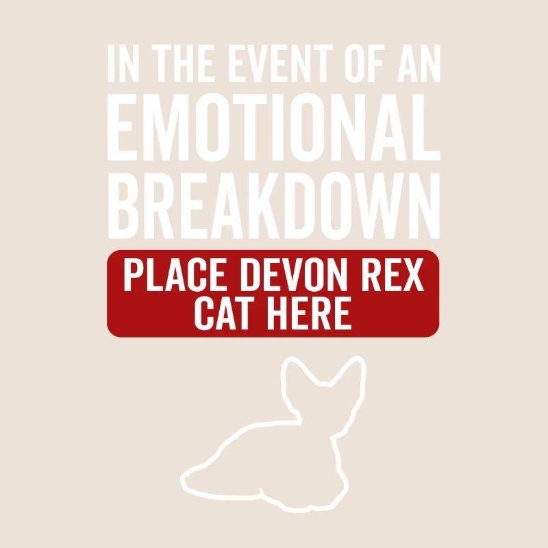 Emotional - Devon Rex Cat