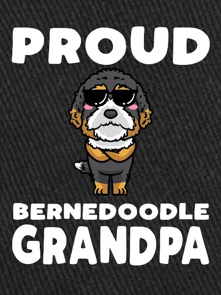 Bernedoodle Dog