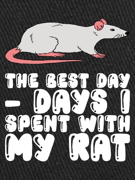 Jours avec mon rat