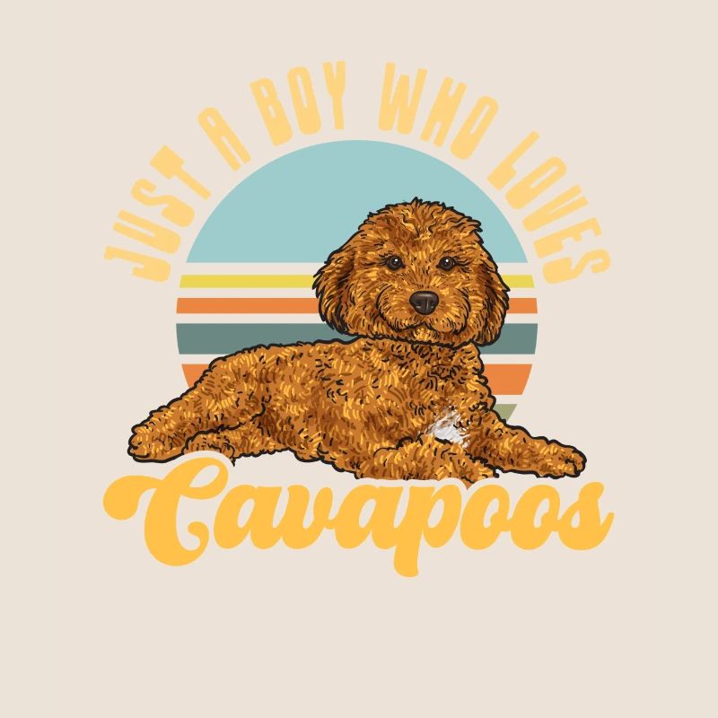 Cavapoo Cavoodle Capoodle Hund