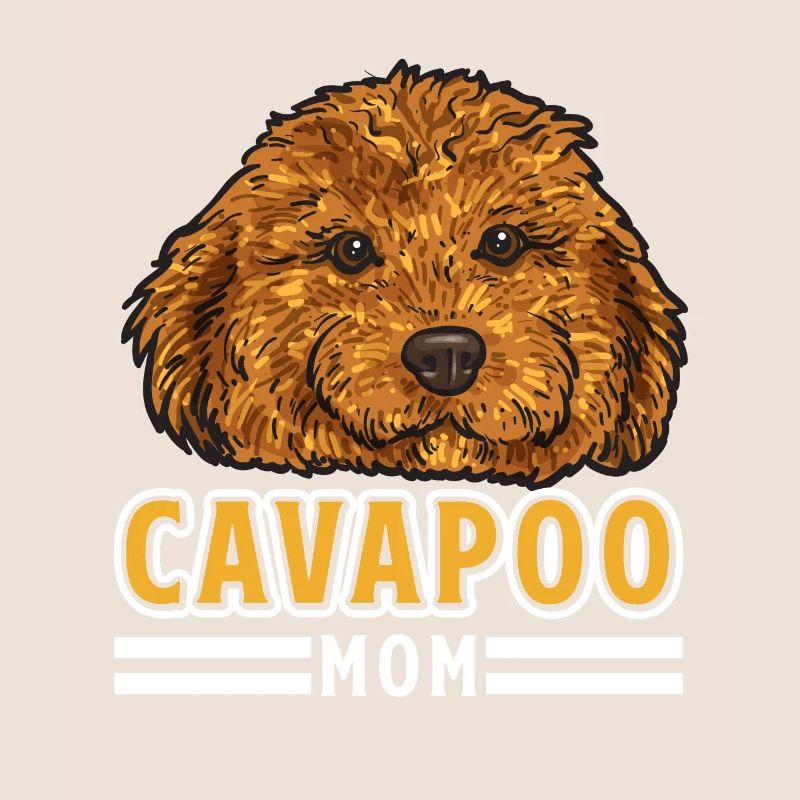 Cavapoo Cavoodle Capoodle Dog