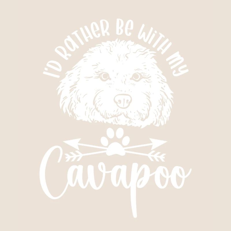 Cavapoo Cavoodle Capoodle Chien