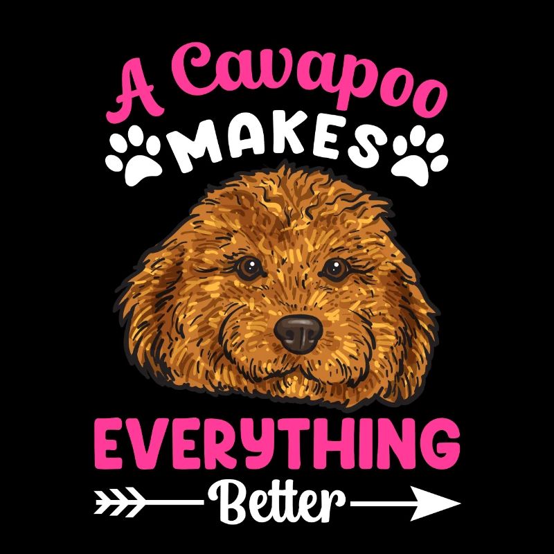 Cavapoo Cavoodle Capoodle Chien