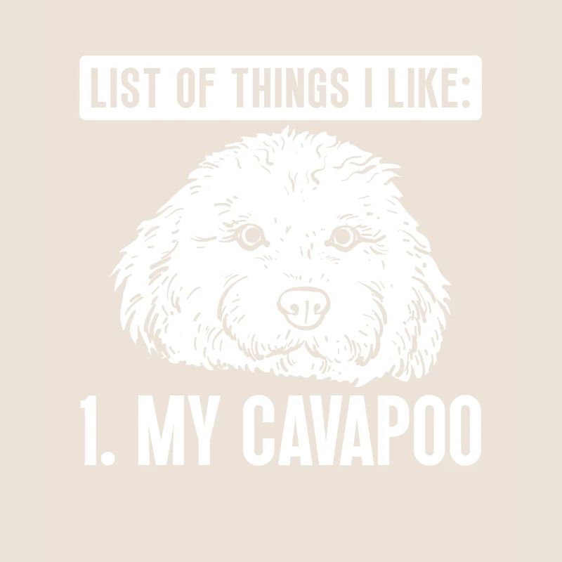 Cavapoo Cavoodle Capoodle Hund