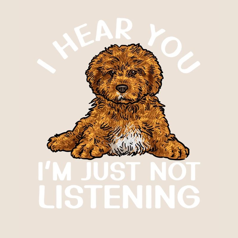 Cavapoo Cavoodle Capoodle Hund