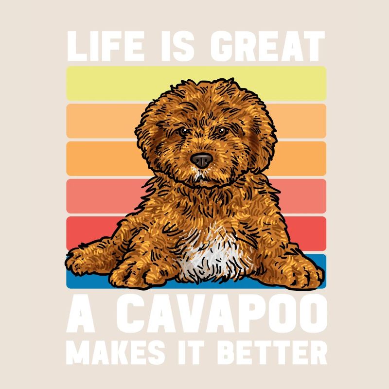 Cavapoo Cavoodle Capoodle Hund