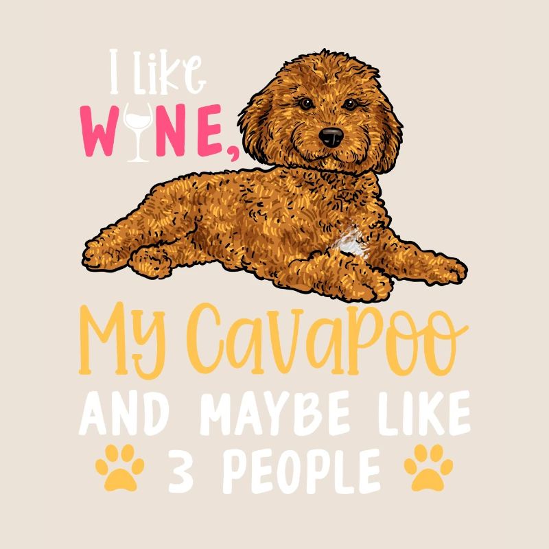 Cavapoo Cavoodle Capoodle Hund