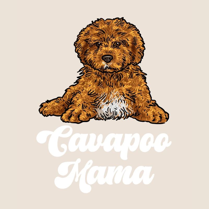 Cavapoo Cavoodle Capoodle Dog