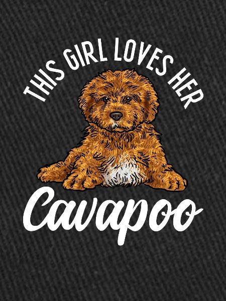 Cavapoo Cavoodle Capoodle Chien