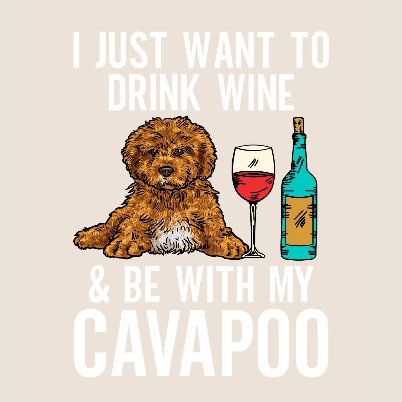 Cavapoo Cavoodle Capoodle Chien