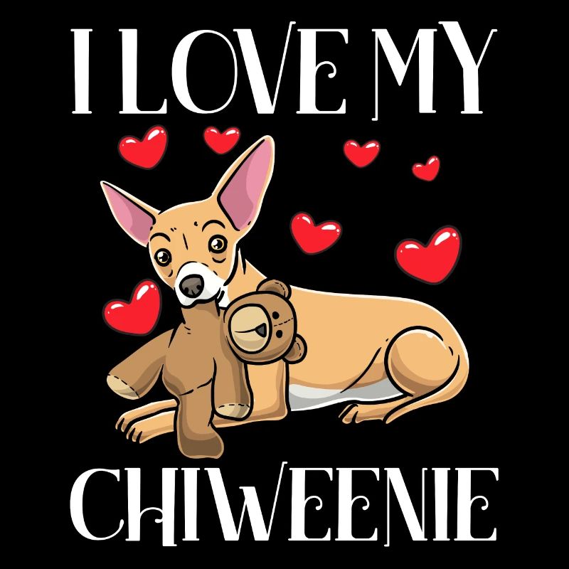 Chiweenie chien avec peluche