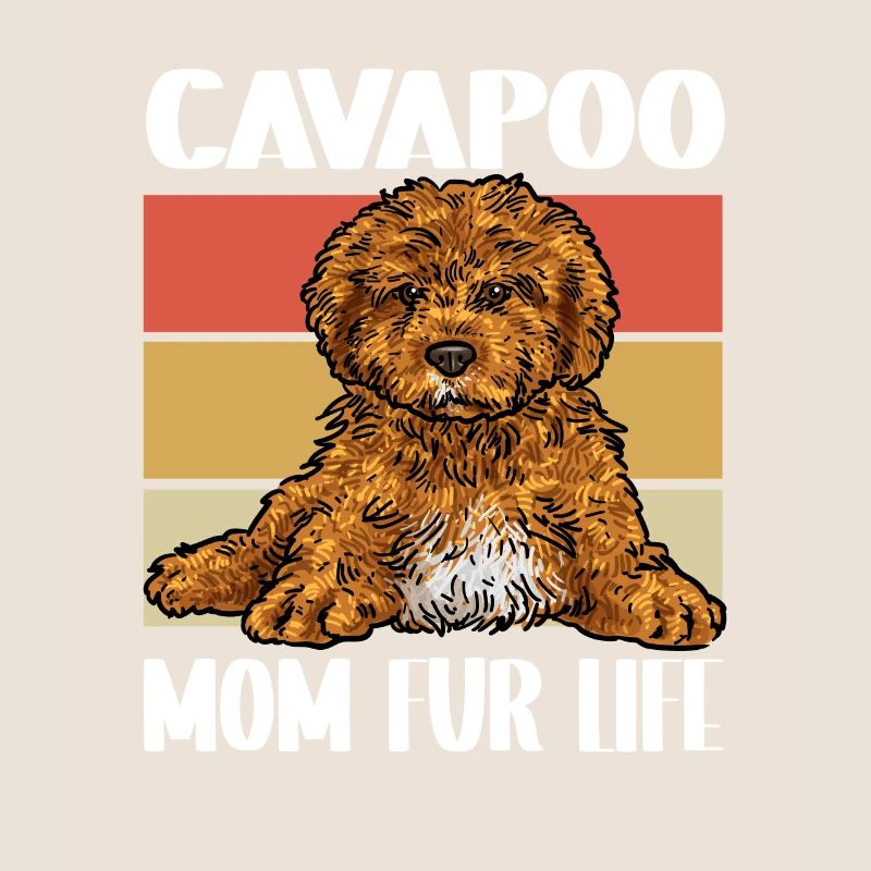 Cavapoo Cavoodle Capoodle Hund