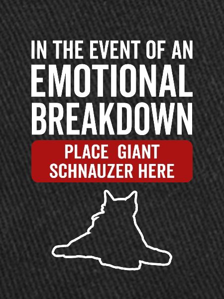 Schnauzer géant canin émotionnel