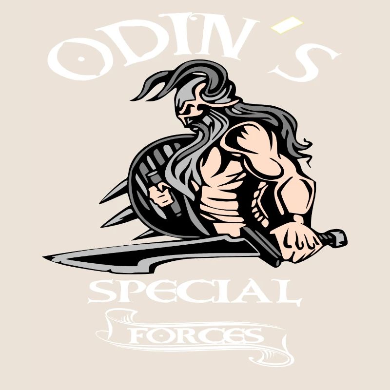 Wikinger Odin Walhalla Krieger