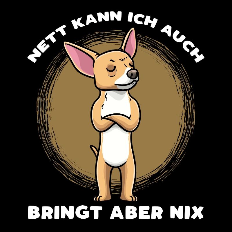 Chiweenie Hund Stur