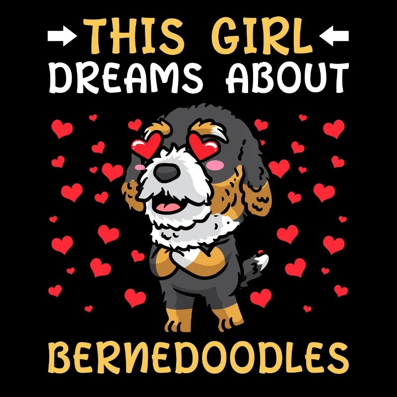 Bernedoodle Hund