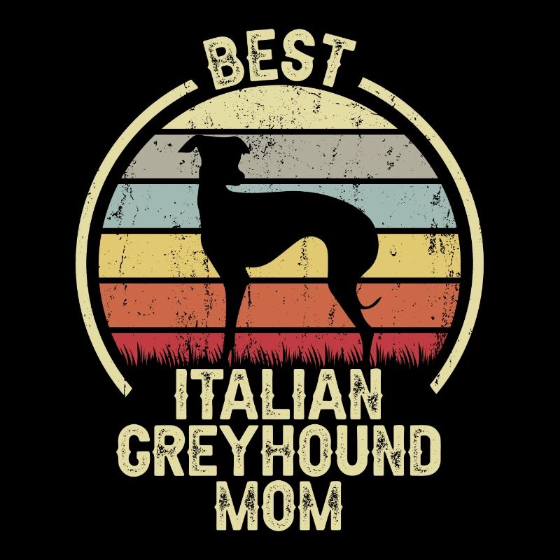 Mère de chien - Lévrier italien