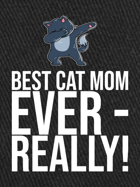 Dabbing Cat Funny Cat
