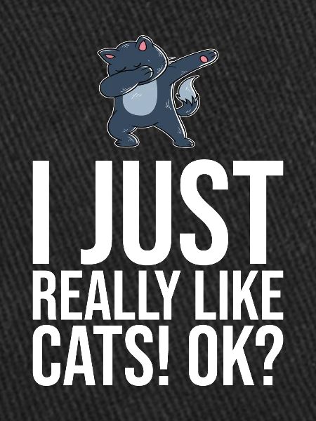 Dabbing Cat Funny Cat