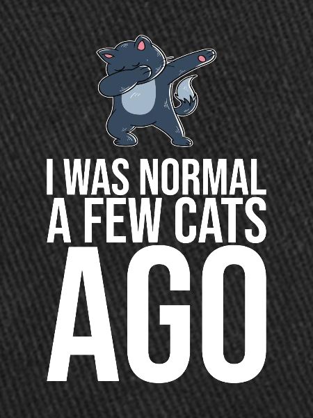 Dabbing Cat Funny Cat