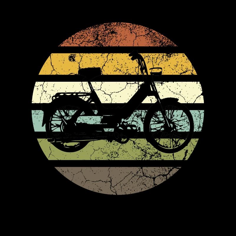 DDR Moped Oldtimer Roller Mofa Scooter 2 Takter