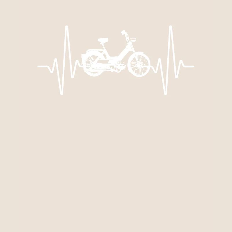 DDR Mobylette Oldtimer Roller Mofa Scooter 2 Takter