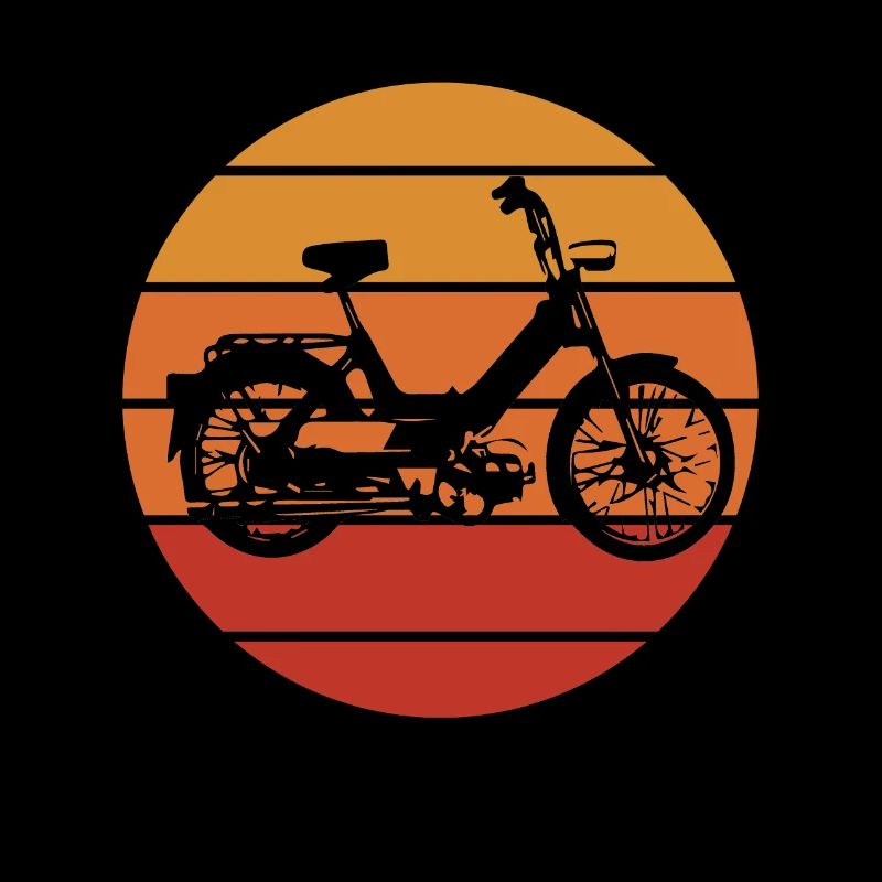 DDR Mobylette Oldtimer Roller Mofa Scooter 2 Takter