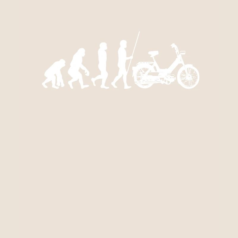 DDR Mobylette Oldtimer Roller Mofa Scooter 2 Takter