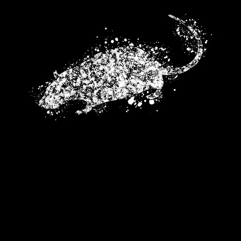 Souris Rat Rat Souris