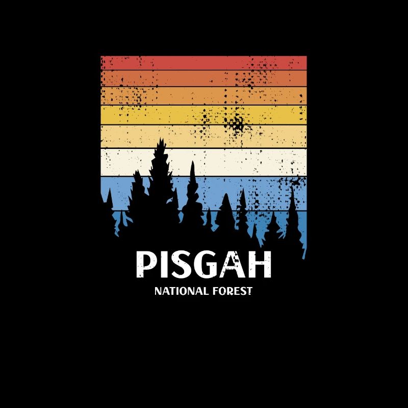 Forêt nationale de Pisgah