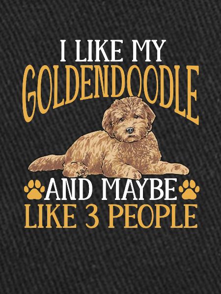 Goldendoodle Doodle Dog