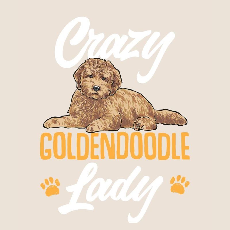 Goldendoodle Doodle Chien