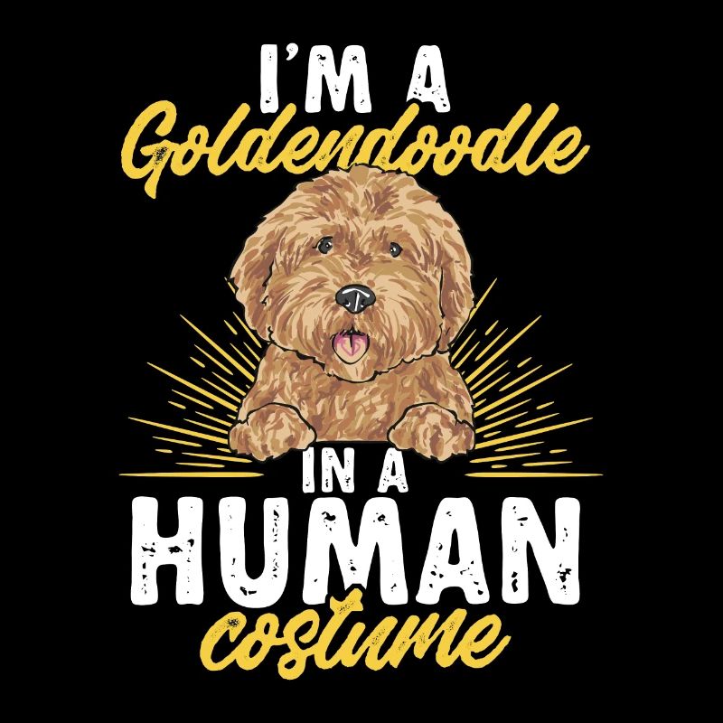 Goldendoodle Doodle Chien