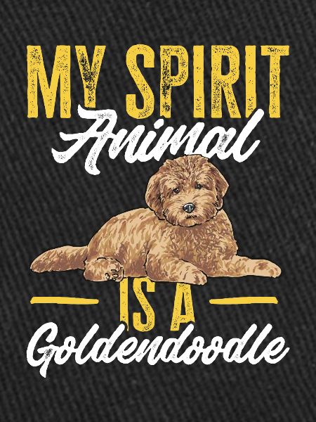 Goldendoodle Doodle Chien