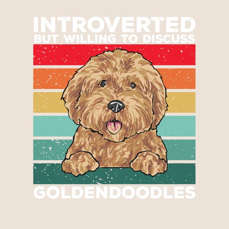 Goldendoodle Doodle Chien