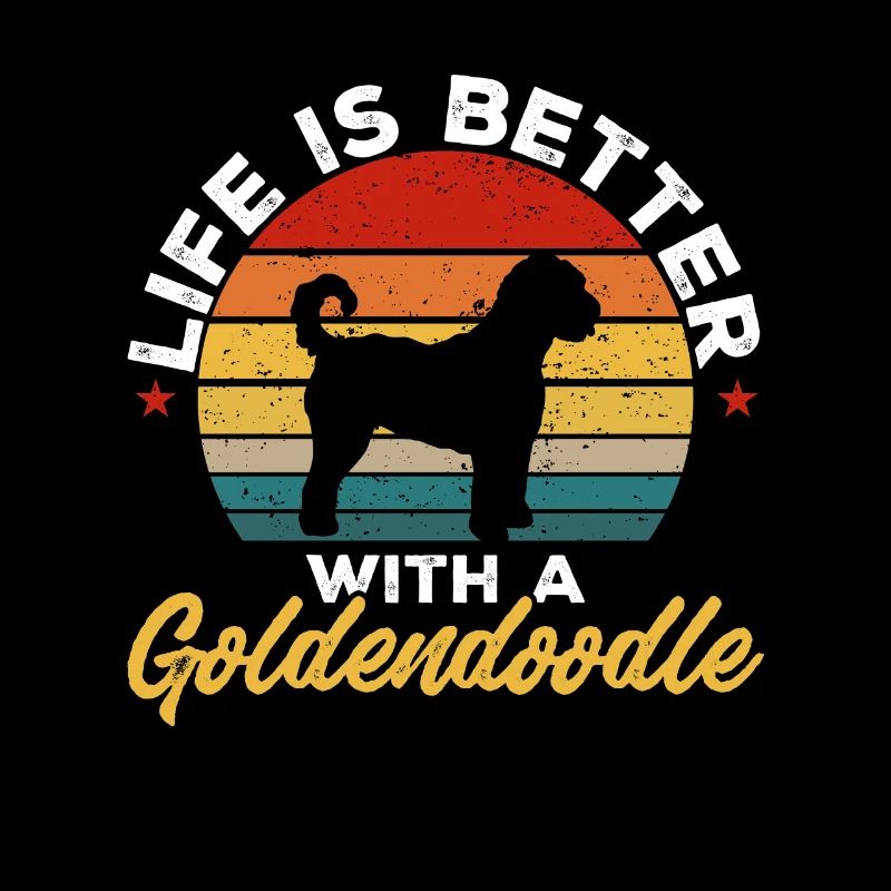 Goldendoodle Doodle Chien