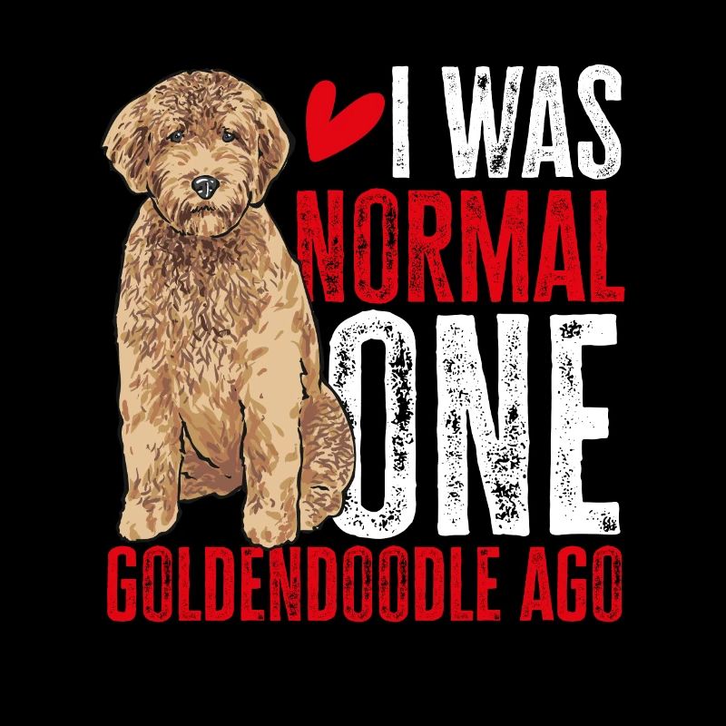 Goldendoodle Doodle Chien